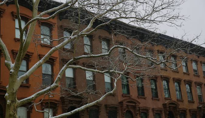 Walnut neighborhood